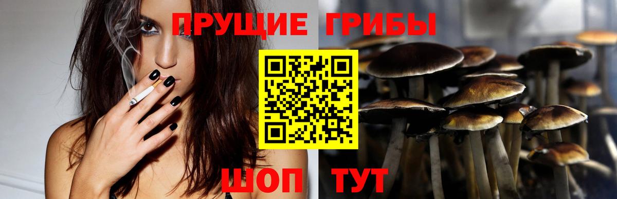 Псилоцибиновые грибы GOLDEN TEACHER Мыски